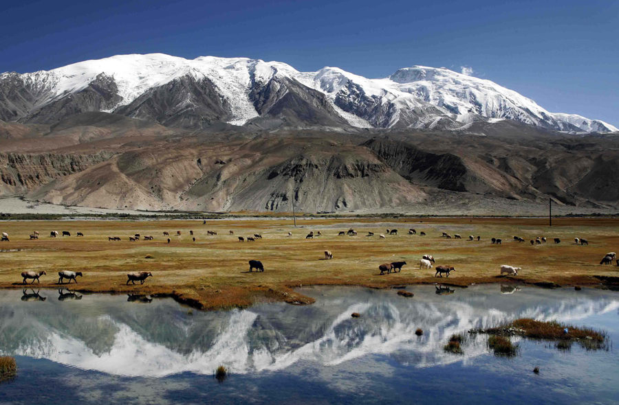 倍头条 | 拍得铜矿，格局打开！豪门国际官网业务新布局