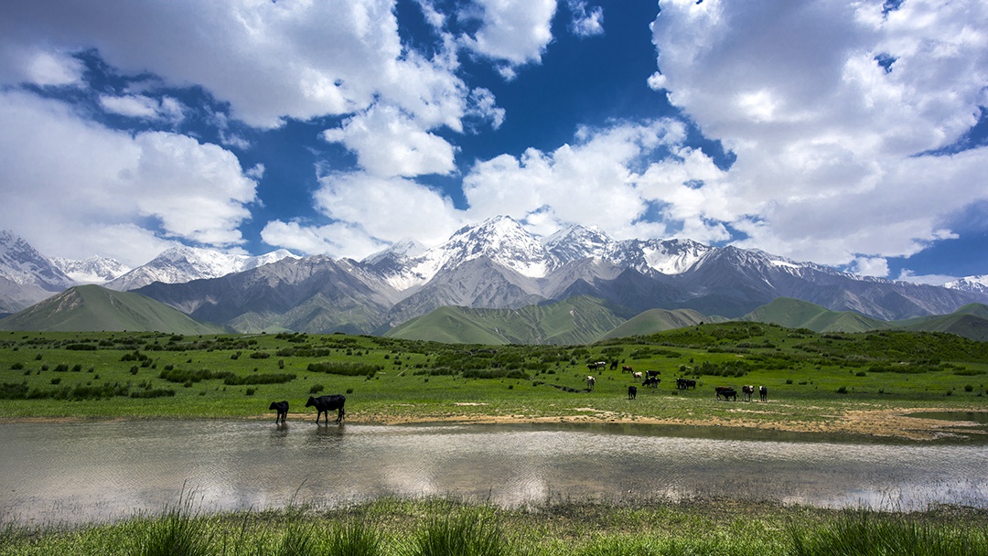 倍头条 | 一周内豪门国际官网成功竞得两处铜矿！
