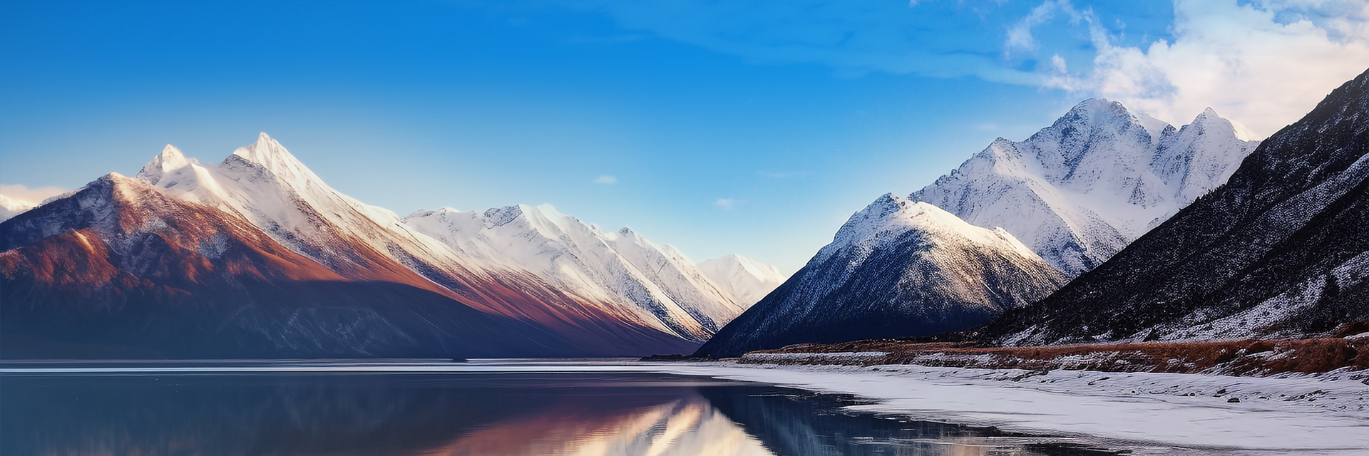 走进豪门国际官网