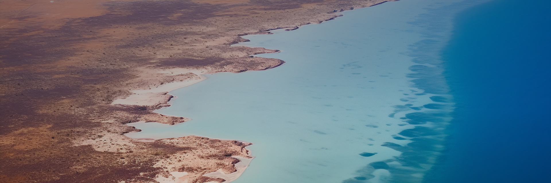 权门国际官网-钻营健全,你我一路成长